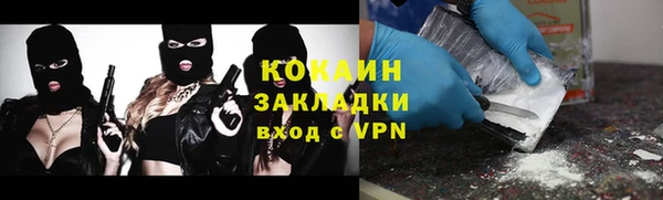 PSILOCYBIN Алексеевка