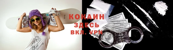 дмт Алзамай