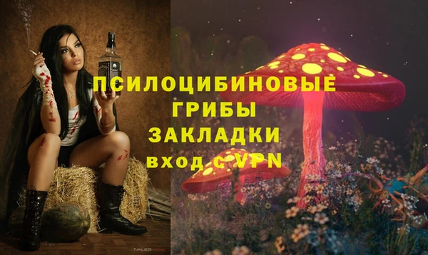 дмт Алзамай